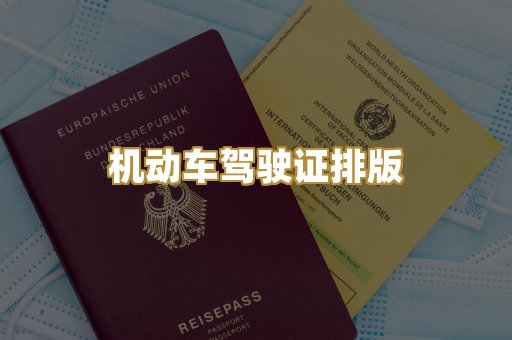 机动车驾驶证排版